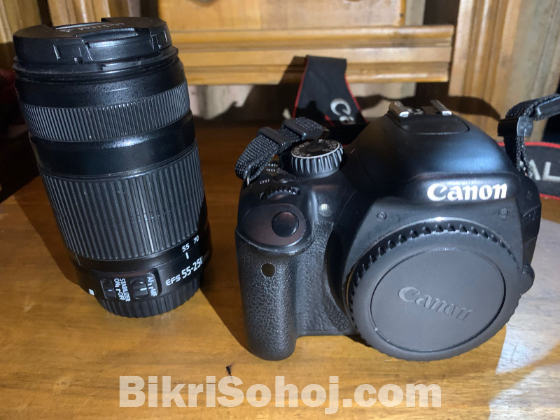 Canon 550d with 55-250 zoom lens